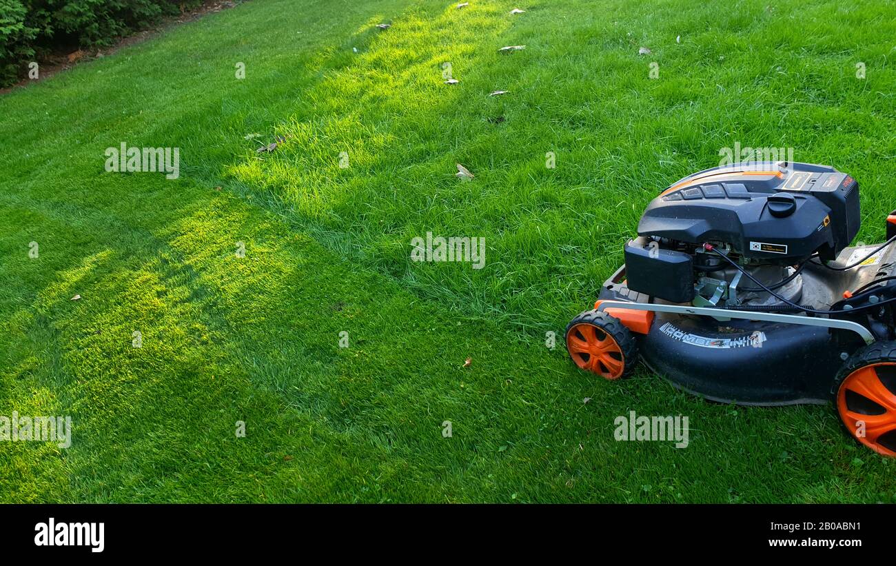 lawnmower on a lawn, side view, Germany Stock Photo