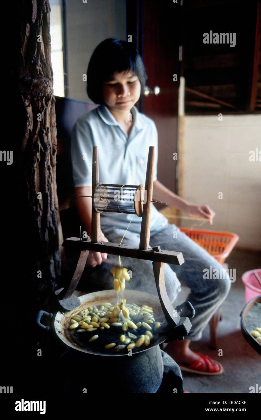 Silk worm cocoons hi-res stock photography and images - Alamy