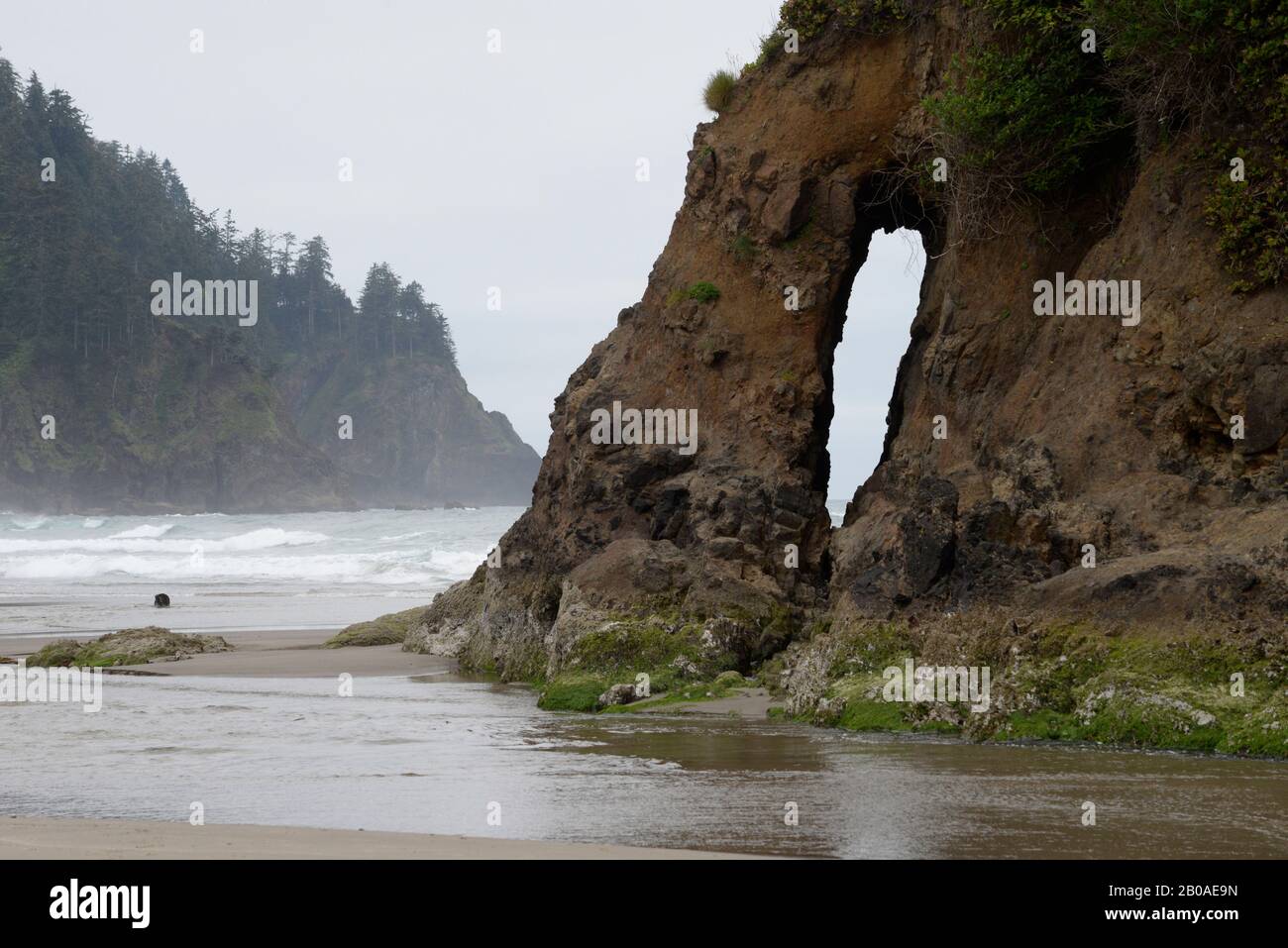 Arch on Proposal Rock w/ rugged headlands of Oregon Coast in distance. Stock Photo