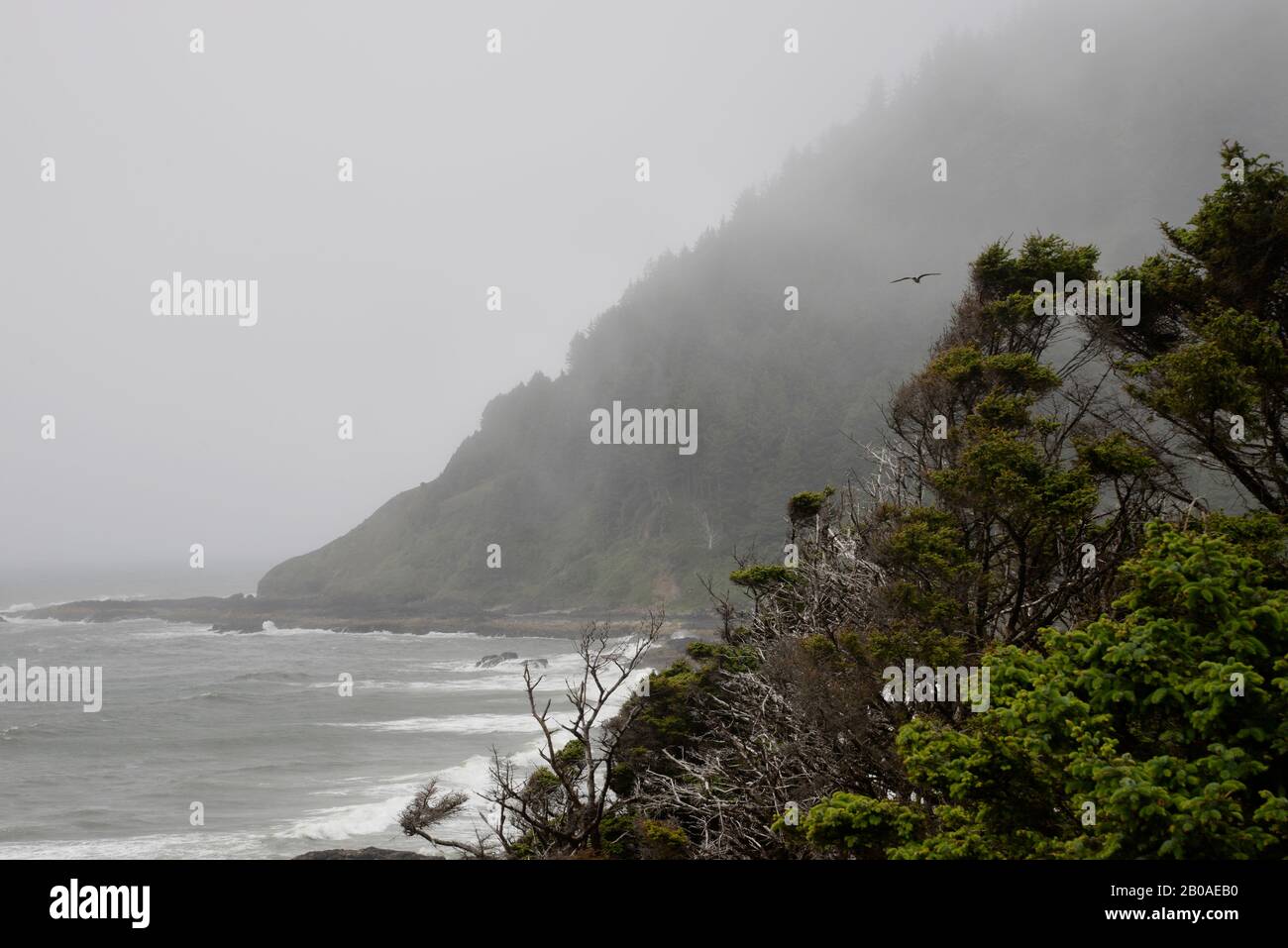 Coastal mountains rise from the sea at Cape Perpetua, Oregon. Stock Photo