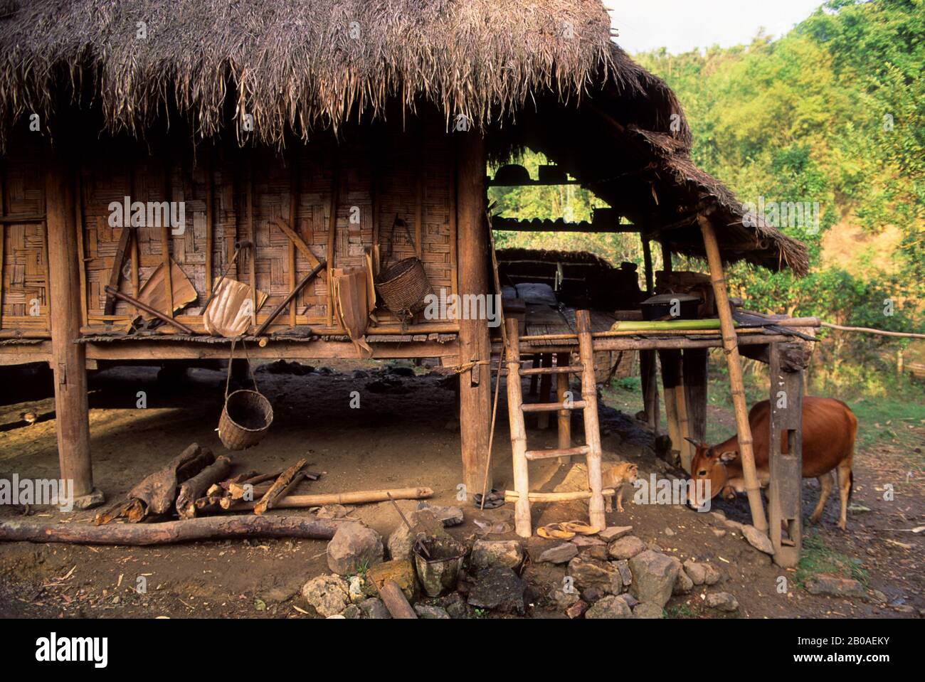 ASIA, NO. VIETNAM, NEAR HOA BINH GIANG MO VILLAGE, MUONG HILLTRIBE