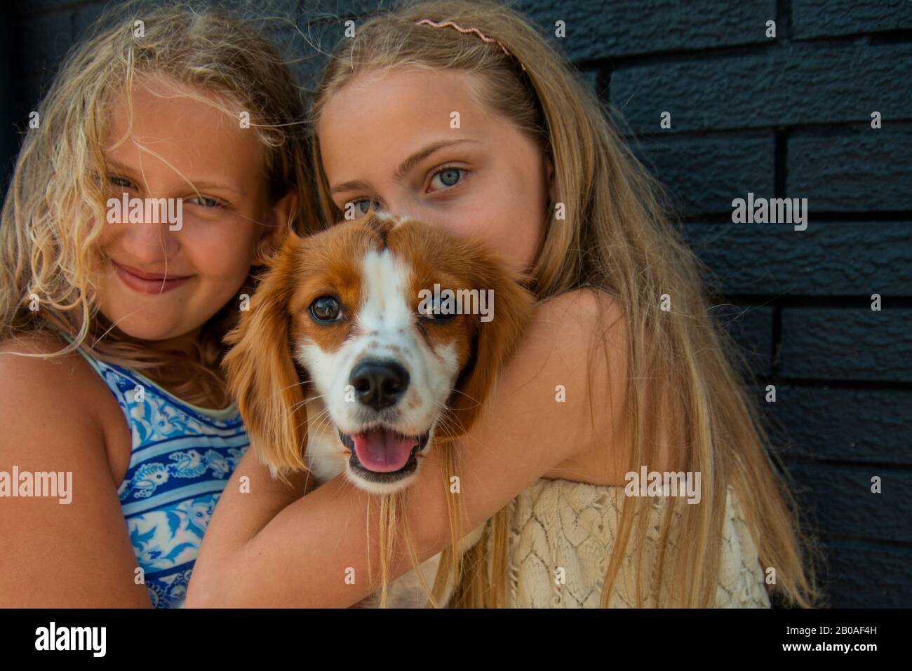Puppy Portrait with the girls Stock Photo