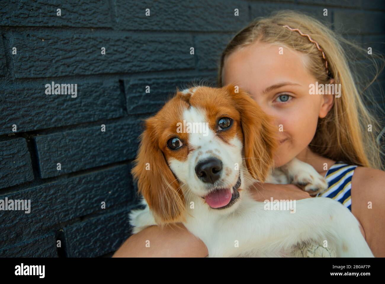 Young girl posing with her puppy Stock Photo