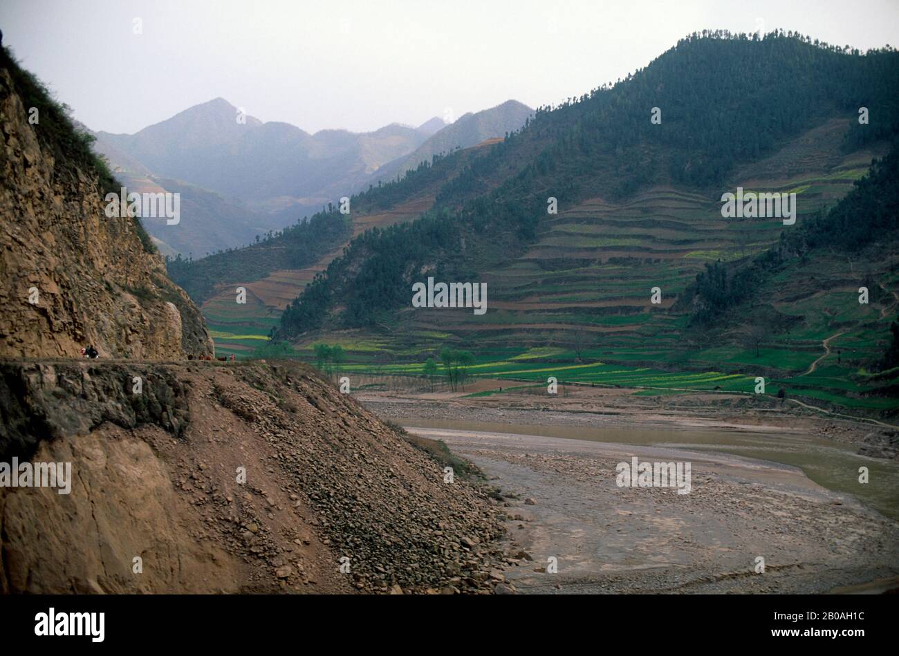 CHINA, SHAANXI PROVINCE, NEAR BAOJI, WEI RIVER VALLEY, WHEAT FIELDS, LOESS PLATEAU Stock Photo