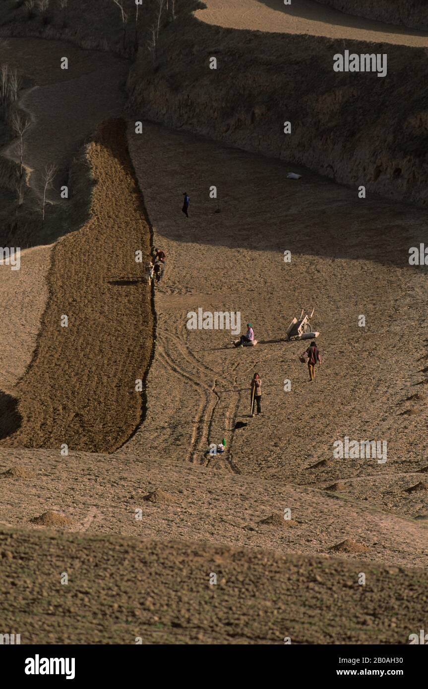 CHINA, GANSU PROVINCE, NEAR LANSHOU, PEOPLE WORKING IN FIELDS, LOESS PLATEAU Stock Photo