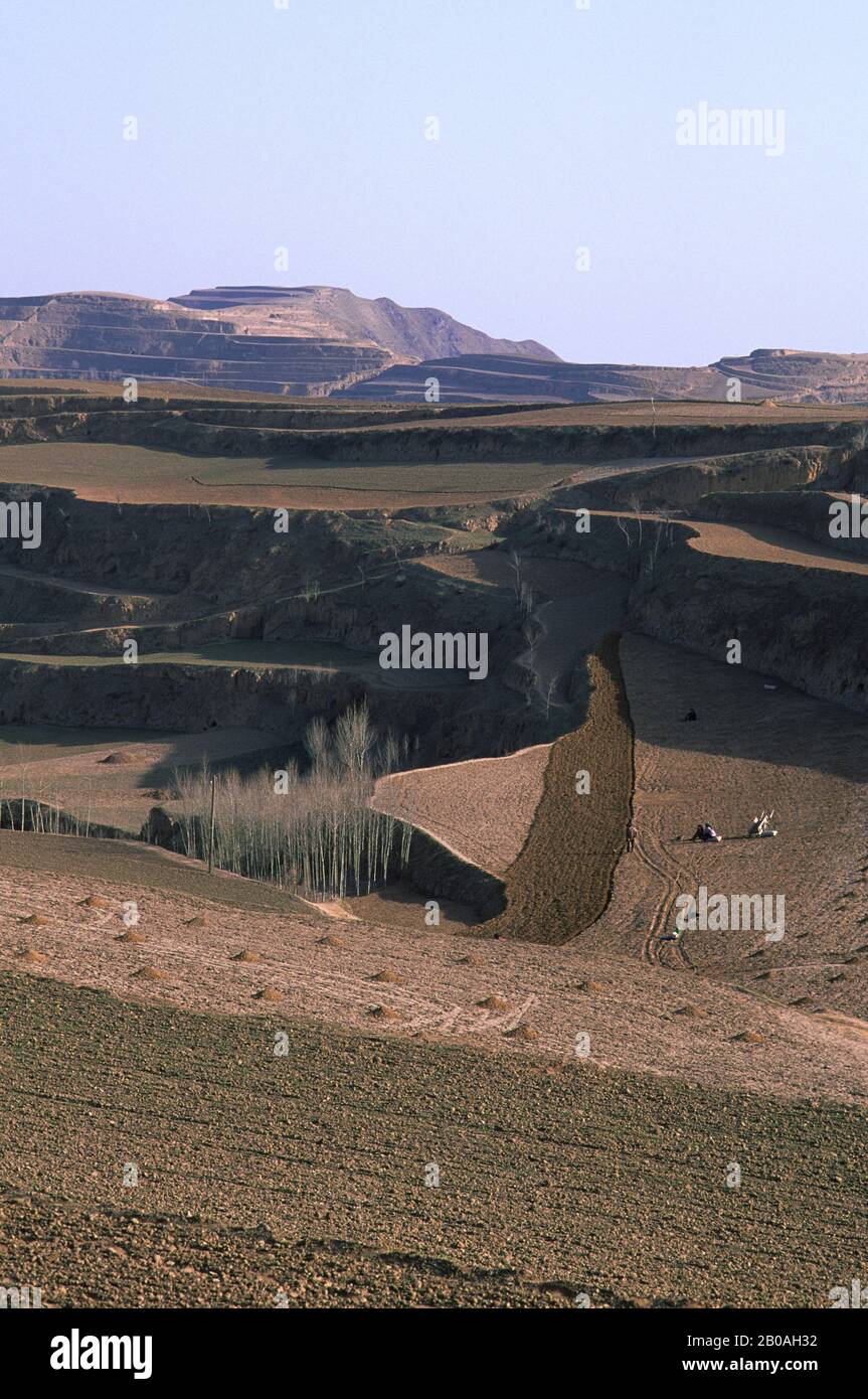 CHINA, GANSU PROVINCE, NEAR LANSHOU, FIELDS, LOESS PLATEAU Stock Photo