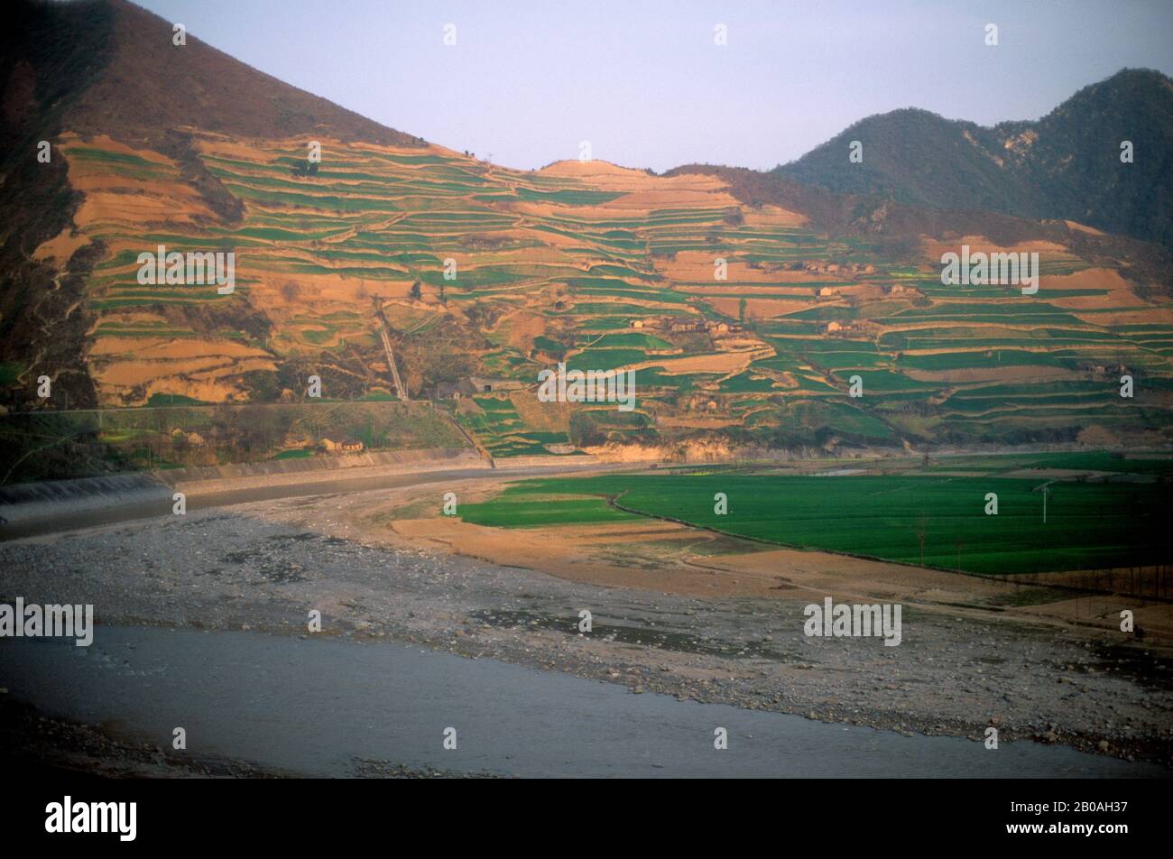 CHINA, SHAANXI PROVINCE, NEAR BAOJI, WEI RIVER VALLEY, WHEAT FIELDS, LOESS PLATEAU Stock Photo