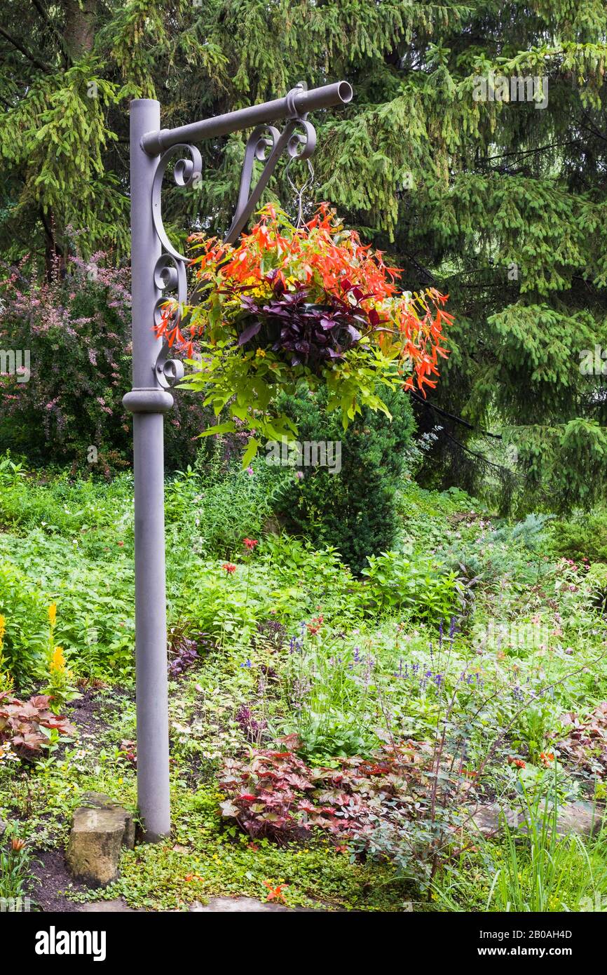 Red Begonia flowers in hanging basket on antique decorative metal post underplanted with Heuchera - Coral Flower, yellow Celosia - Cockscomb in summer. Stock Photo