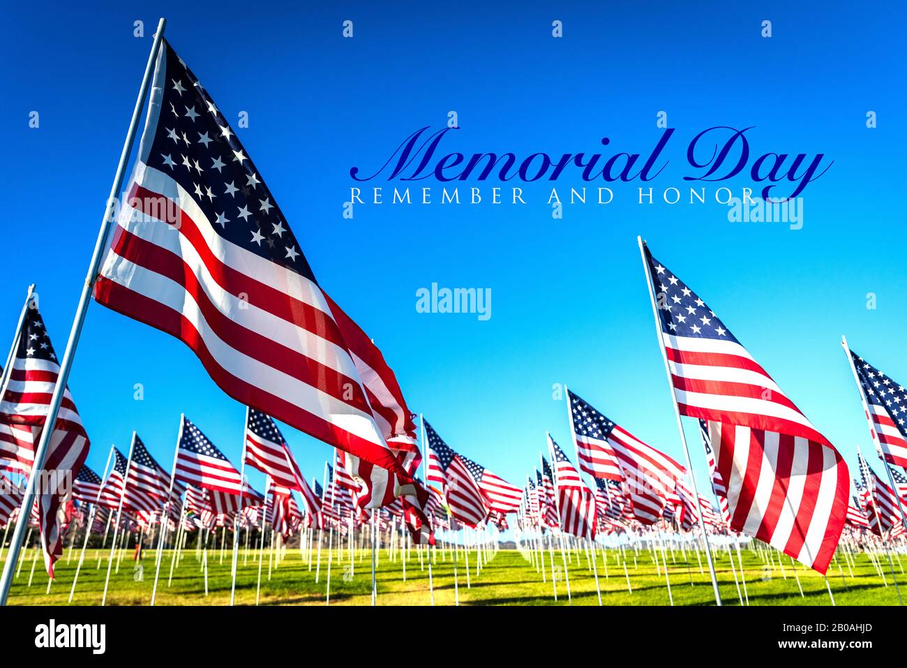 A large group of American flags. Veterans or Memorial day display Stock Photo