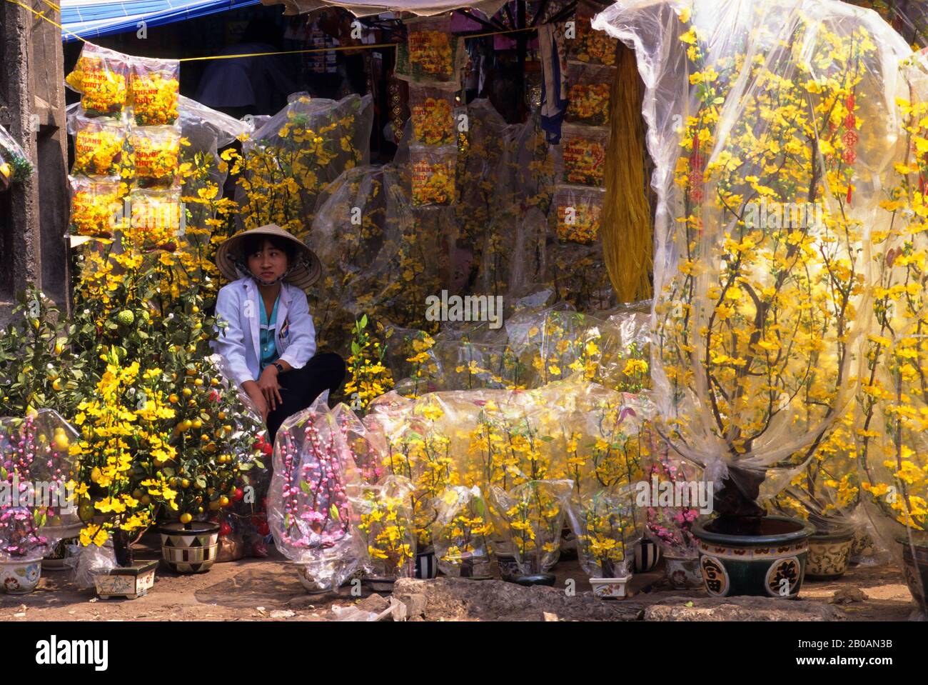 VIETNAM, HO CHI MINH CITY (SAIGON), CHINATOWN, BEN THANH MARKET SCENE, SILK FLOWER STAND Stock