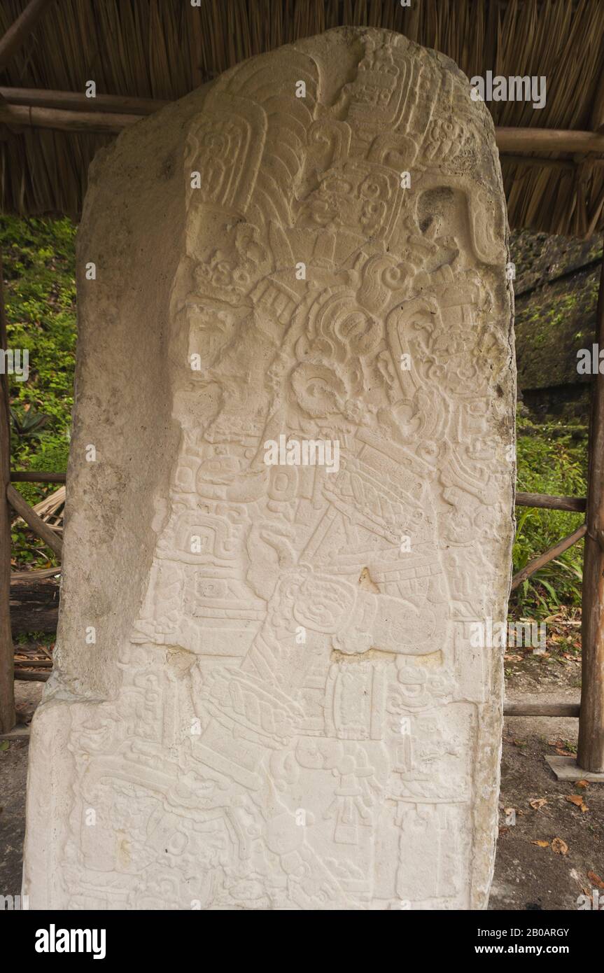 Guatemala, Tikal National Park, Gran Plaza, Templo I, Temple of the Grand Jaguar, 734 AD, stone stelae; UNESCO World Heritage Site Stock Photo