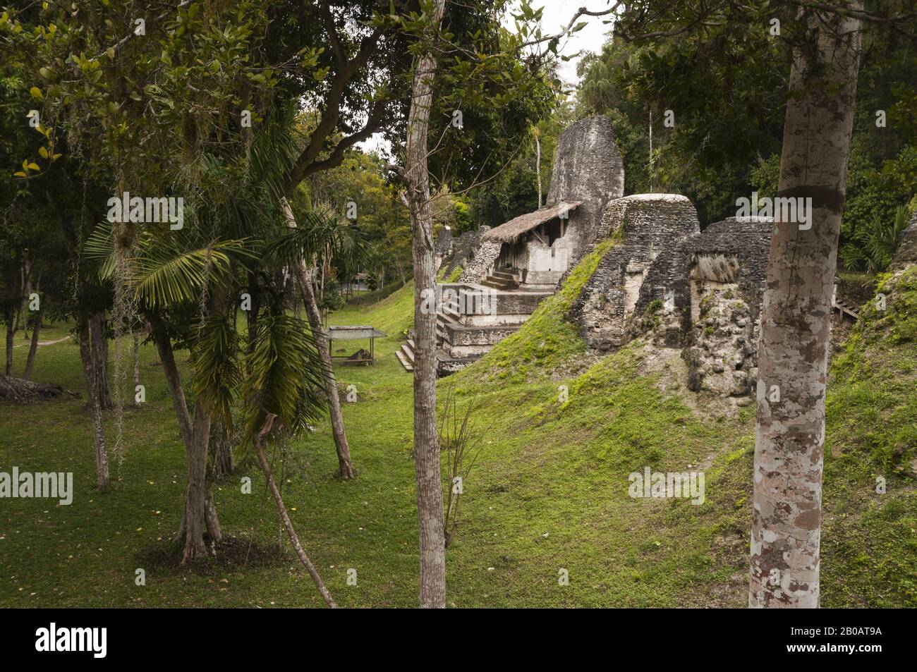 Guatemala, Tikal National Park, Plaza of the Seven Temples, Late Classic Period, 600–900 AD, Structure 5D-96; UNESCO World Heritage Site Stock Photo