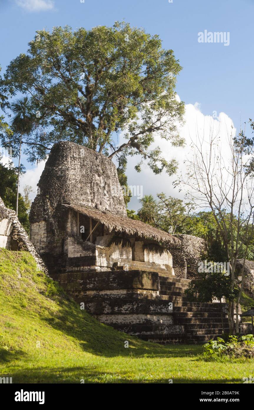 Guatemala, Tikal National Park, Plaza of the Seven Temples, Late Classic Period, 600–900 AD, Structure 5D-96; UNESCO World Heritage Site Stock Photo