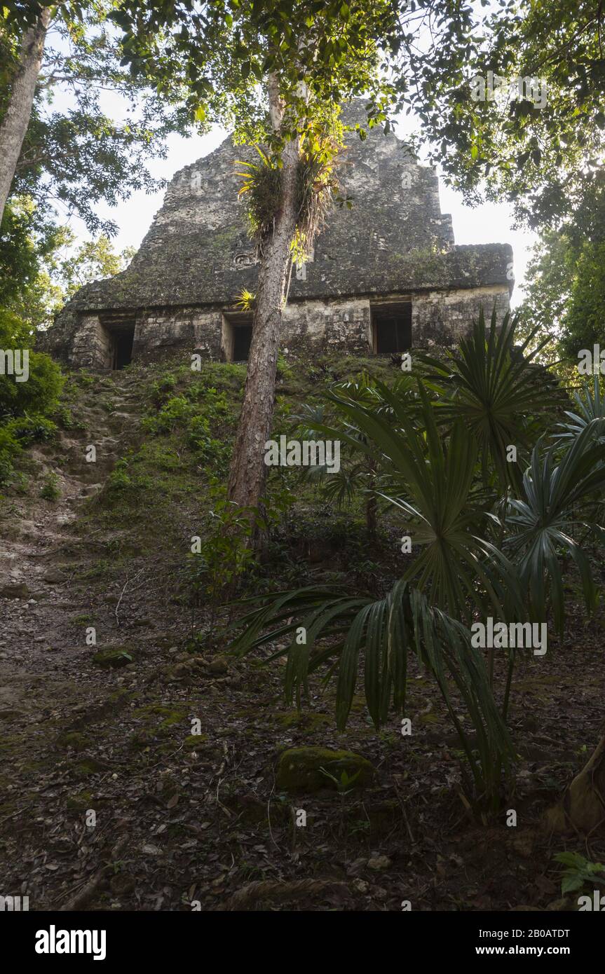 Guatemala, Tikal National Park, Templo VI, Temple of the Inscriptions, 736-766 AD; UNESCO World Heritage Site Stock Photo