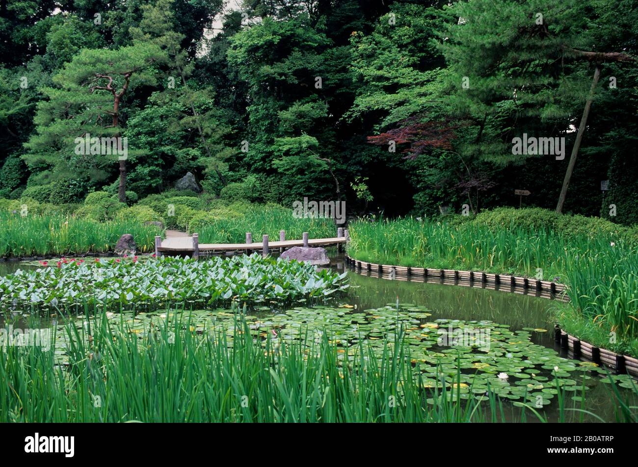 JAPAN, KYOTO, HEIAN SHRINE (SHINTO SHRINE), GARDEN, POND WITH WATER LILIES Stock Photo