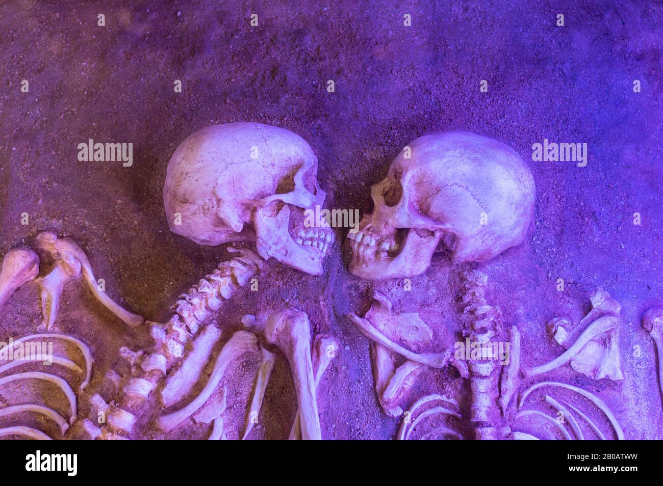Skeleton lovers buried together,  Gran Museo del Mundo Maya, Merida, Yucatan, Mexico. Stock Photo