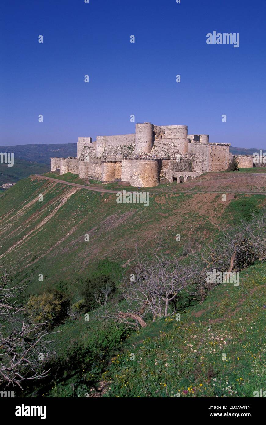 SYRIA, NEAR HOMS, CENTRAL SYRIA, VIEW OF CRAC DES CHEVALIERS, CASTLE OF THE KNIGHTS, CRUSADERS Stock Photo