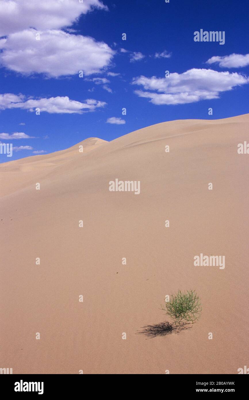 MONGOLIA, GOBI DESERT, NEAR DALANZADGAD, KHONGORYN ELS (SAND DUNES ...