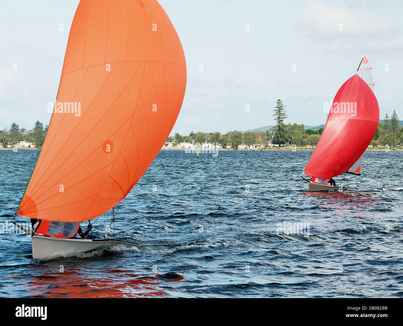 Children sailing in small colourful boats and dinghies for fun and in competition. Teamwork by junior sailors racing on saltwater Lake Macquarie. Phot Stock Photo