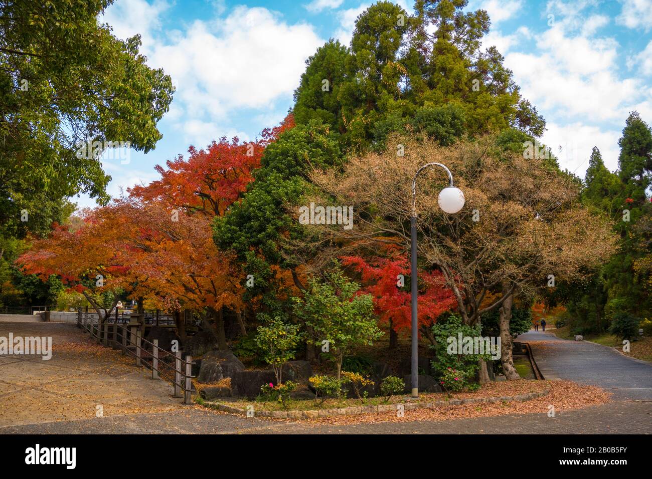 Colorful Autumn foliage in Tsurumi Ryokuchi Park, Osaka, Japan Stock Photo