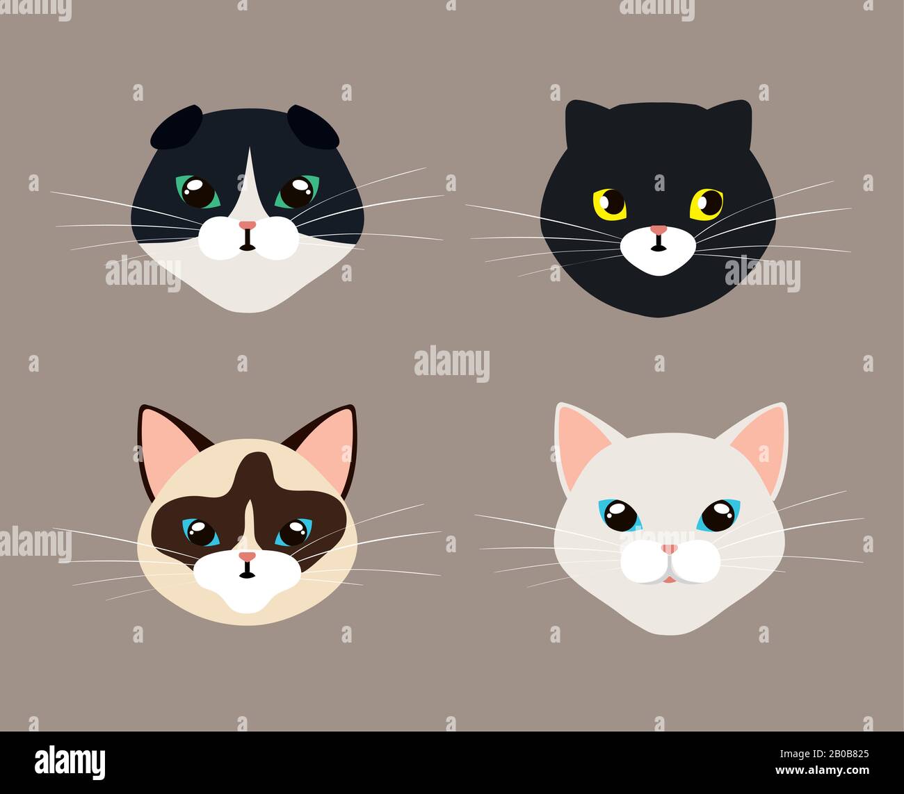 set faces of cute cats Stock Vector Image & Art - Alamy