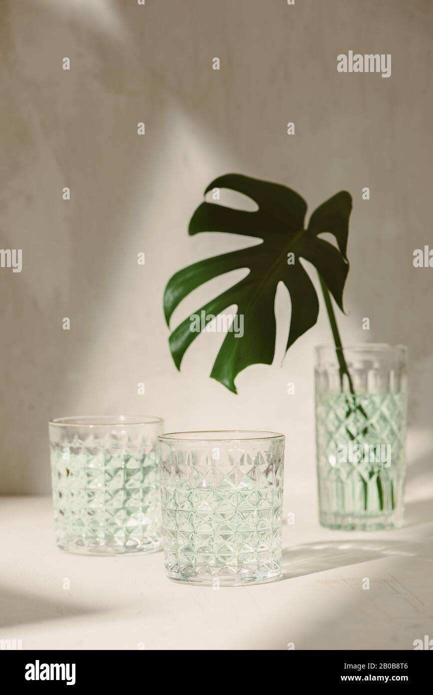 Monstera tropical palm leaves in a glass standing on white table, front ...