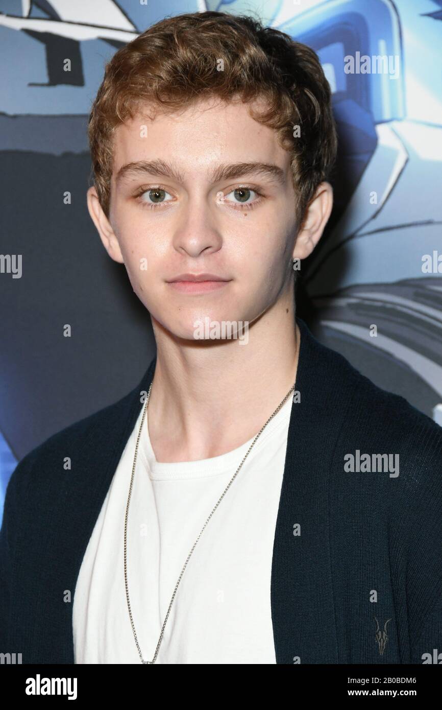 19 February 2020 Westwood, California Gavin Lewis. Funimation Films