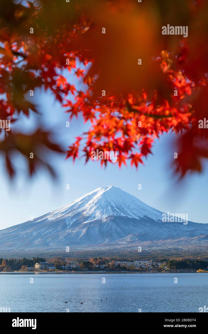 Mount Fuji and Lake Kawaguchi, Yamanashi Prefecture, Japan Stock Photo