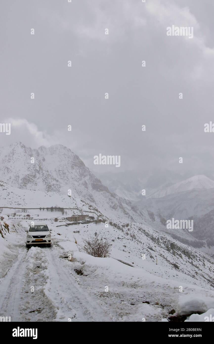 Tourist expedition searching snow leopard in Ulley valley. Ladakh ...