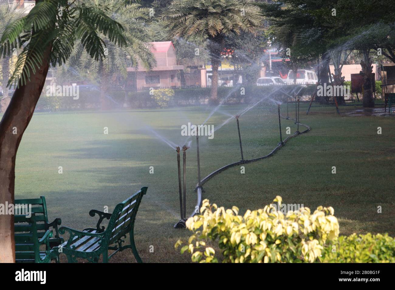 Watering the green lawn in the park. India, Haryana Stock Photo