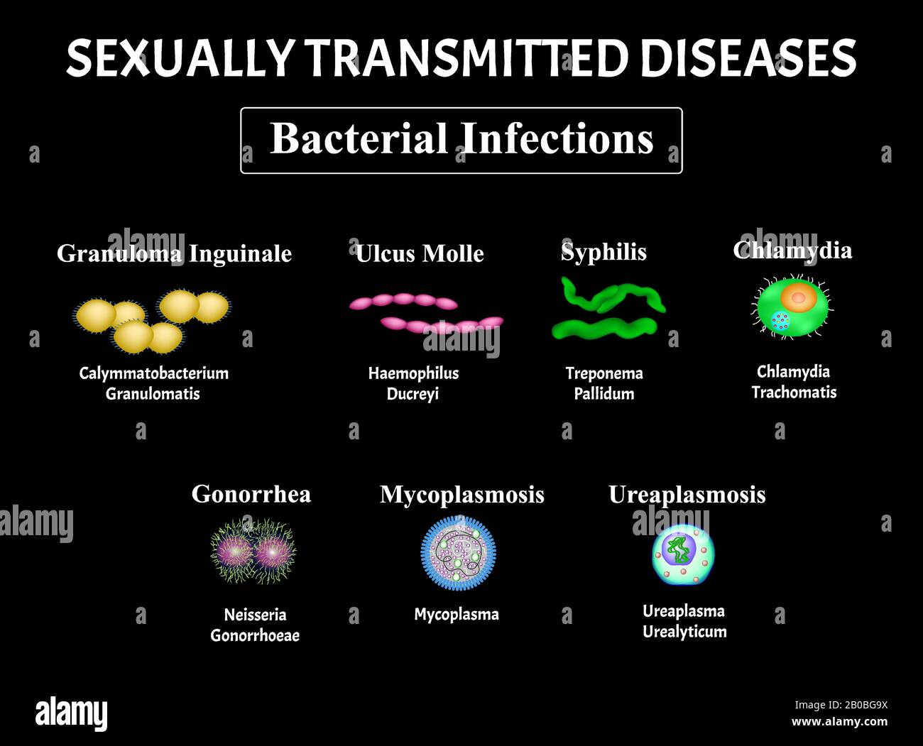 Syphilis, spirochaete, Treponema, Gonococcus, Gonorrhea, Chlamydiosis, Chlamydia, Mycoplasma, Ureaplasma Bacterial infection set. Sexually transmitted Stock Vector