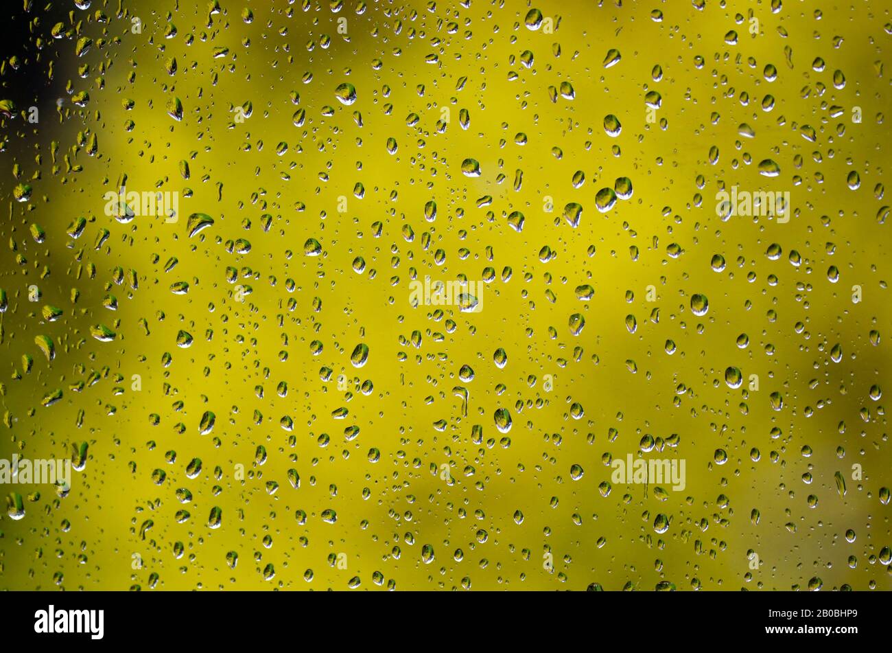 Raindrops On A Window Pane Stock Photo