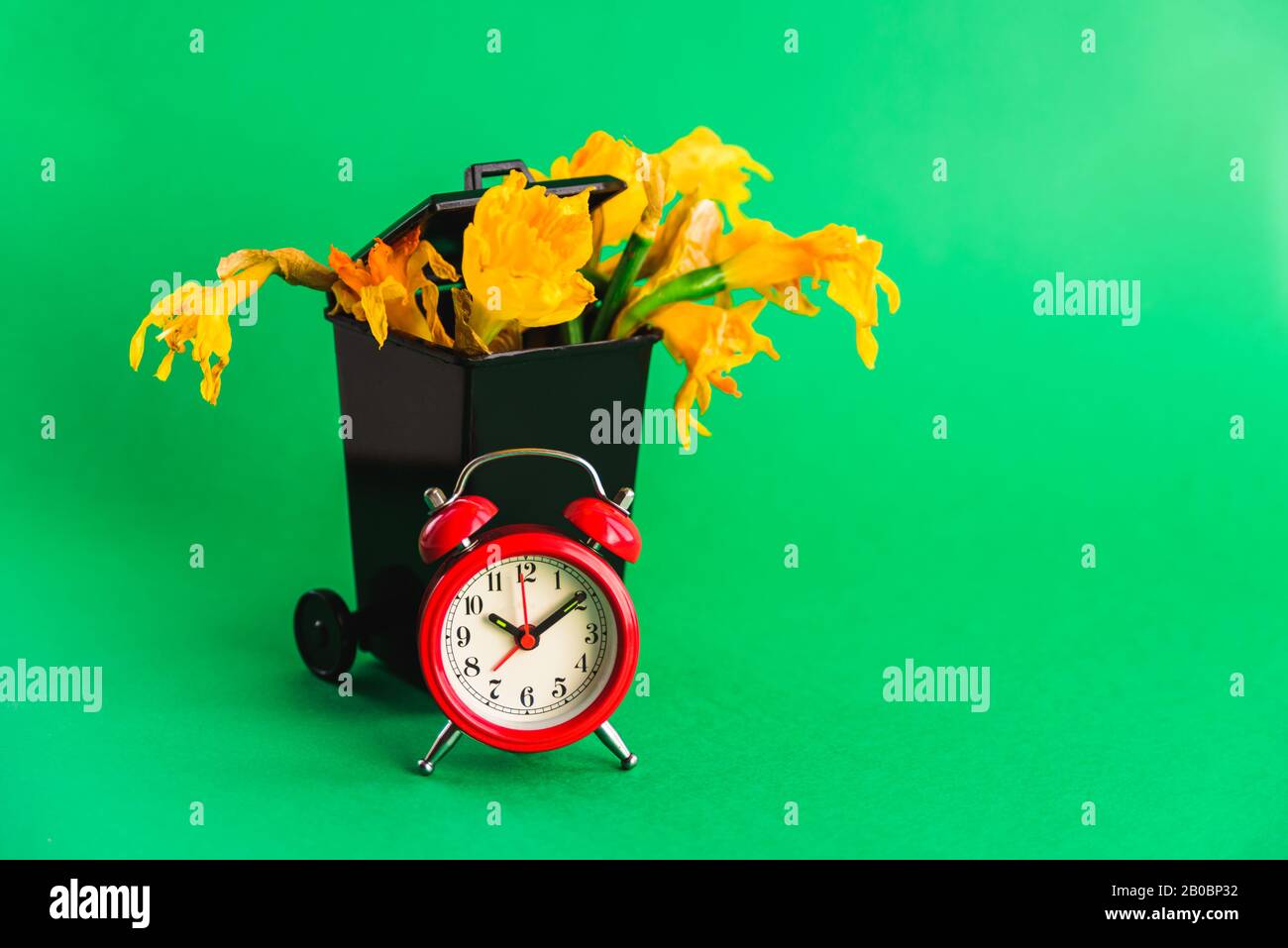 Black Dumpster with wilted narcissus flowers bouquet and red old style clock. Dead, aging concept. Disposable gift. Green background Stock Photo