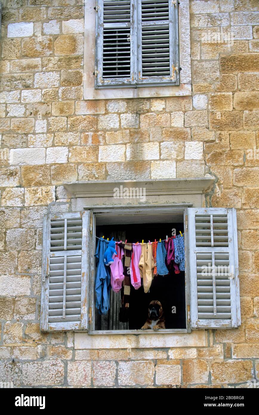CROATIA, HVAR ISLAND, HVAR, STREET SCENE, WINDOW WITH LAUNDRY AND DOG Stock Photo Alamy