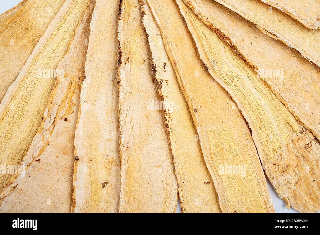 Membranaceus hi-res stock photography and images - Alamy