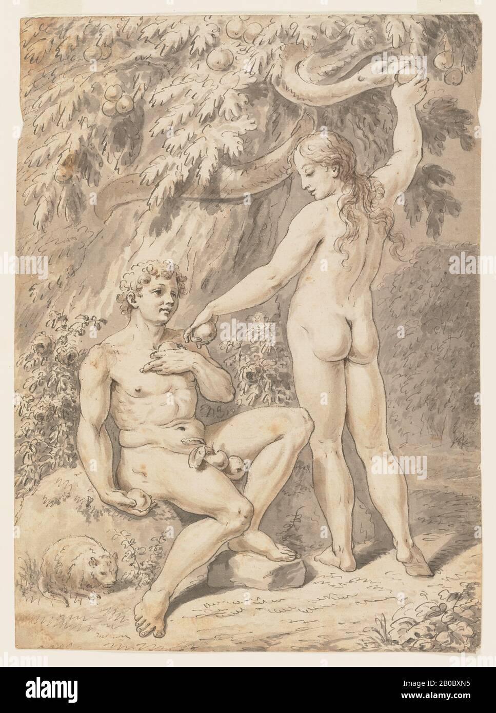 Jacques Stella, Adam and Eve, n.d., pen and black ink, grey and brown wash on paper, 10 1/2 in. x 7 11/16 in. (26.7 cm. x 19.5 cm.) Stock Photo