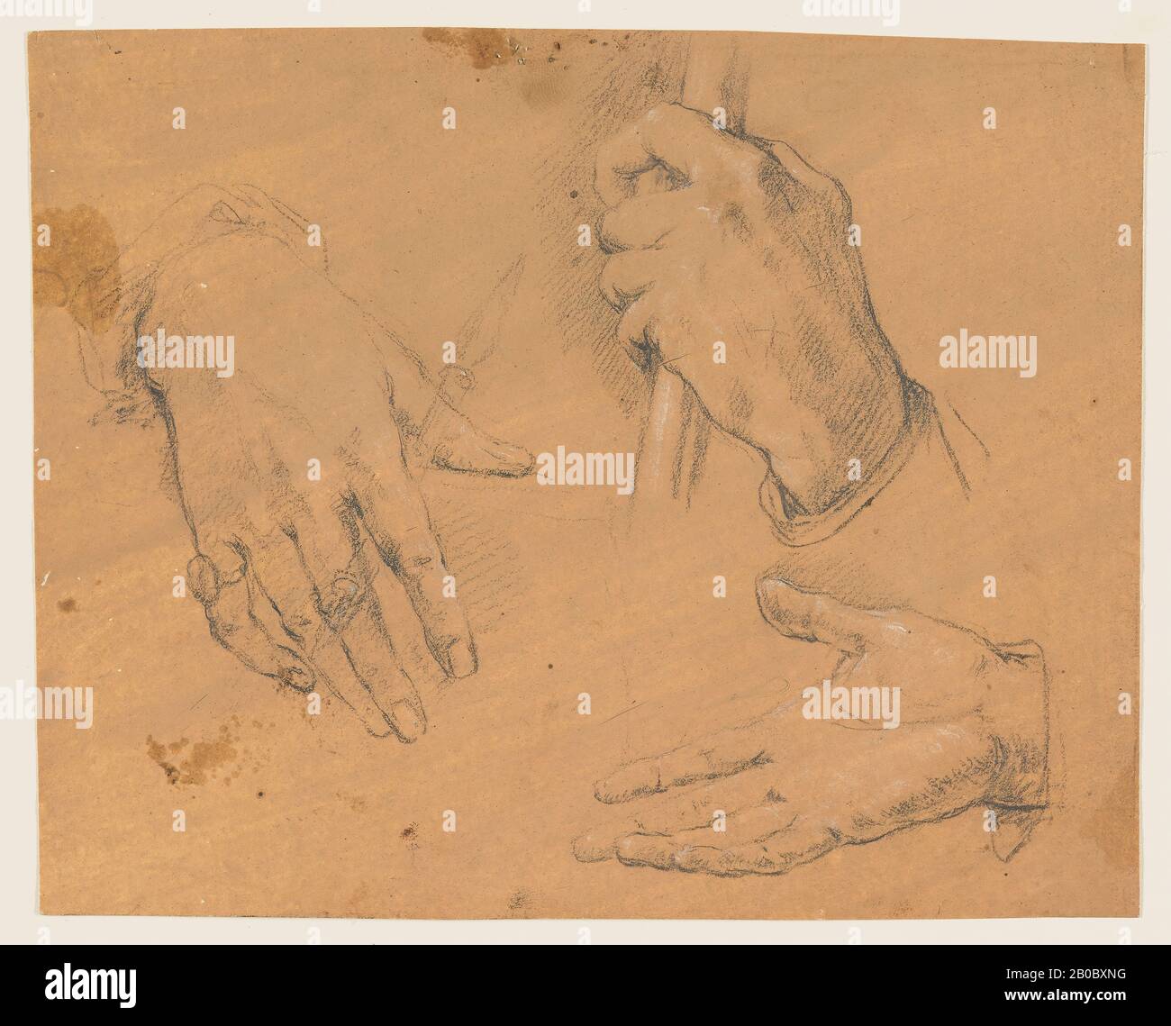 Unknown Artist, Studies of Hands, 1600-1700, black and white chalk, prepared with brown wash on white paper, 7 1/2 in. x 9 3/8 in. (19.1 cm. x 23.8 cm.) Stock Photo