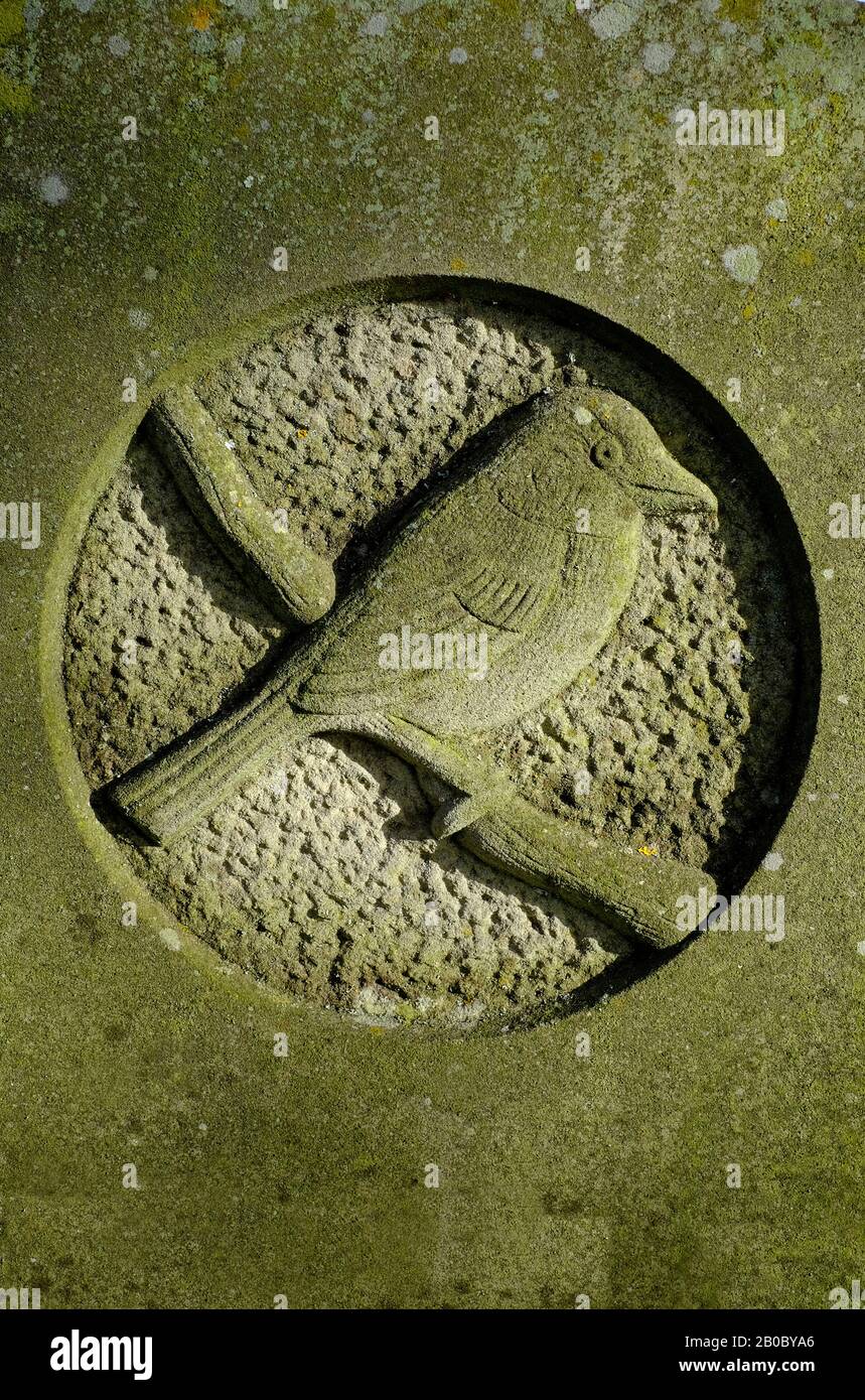 stone carving of bird on cemetery tombstone, norfolk, england Stock Photo