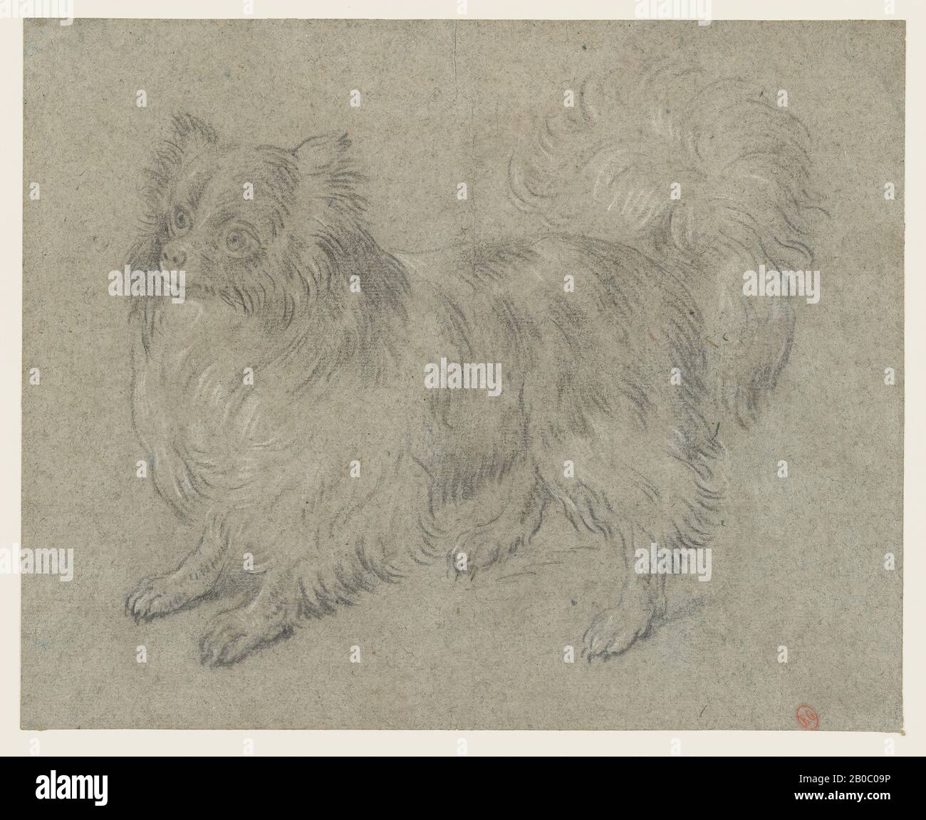 Jean-Baptiste Oudry, A Pomeranian, 1734-1740, black and white chalk on blue paper, 12 1/2 in. x 15 9/16 in. (31.8 cm. x 39.6 cm.), One of the foremost animal and landscape painters in the era of Louis XV of France, Oudry painted royal hunting scenes and portraits of the king's favorite dogs. Royal patronage enabled him to assume several important administrative and teaching positions. Oudry was an active draftsman, who prepared on paper his work in painting, tapestry design, and engraving. This loosely drawn study of a dog is typical of Oudry's use of black and white chalk on colored paper. It Stock Photo