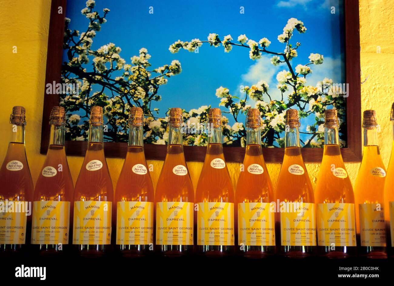 FRANCE, NORMANDY, NEAR HONFLEUR, CALVADOS DISTILLERY, ALCOHOLIC APPLE CIDER Stock Photo Alamy