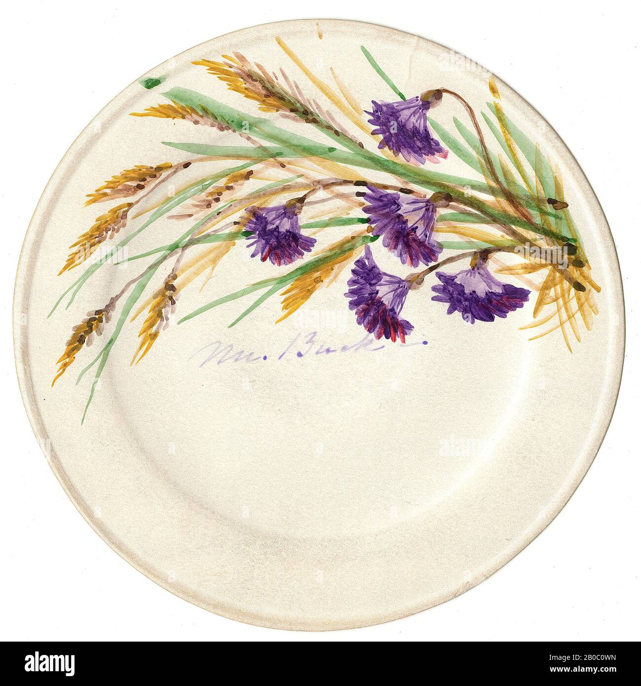 Henrietta Benson Homer, Grasses/Wheat and Purple Flower, n.d., watercolor on paper, 2 13/16 in. (7.14 cm Stock Photo