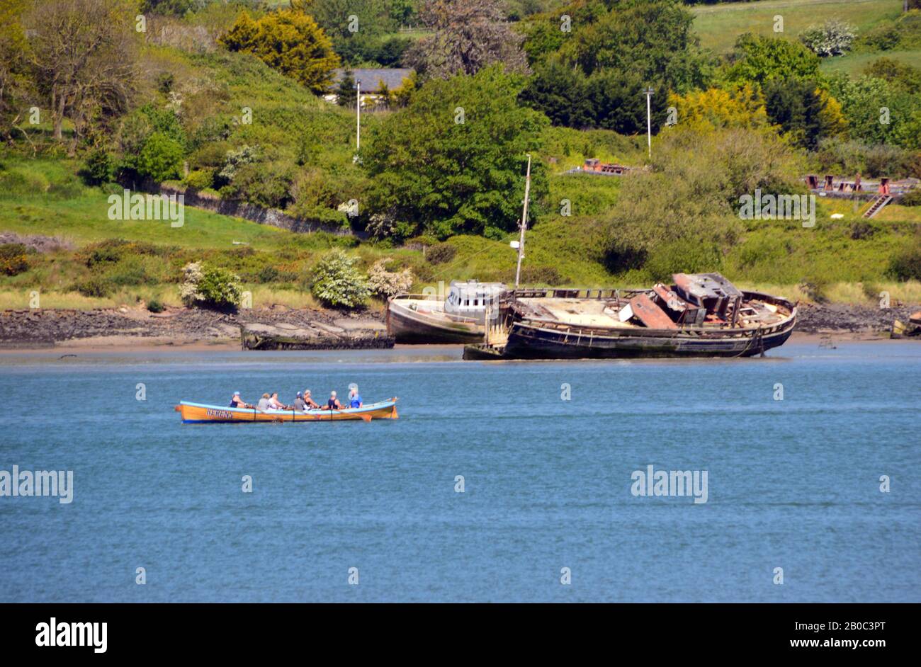Rowers in Canoe Passing Old Wooden Shipwrecks on Estuary of the River Torridge near Appledore on the Tarka Trail/South West Coast Path, North Devon. Stock Photo