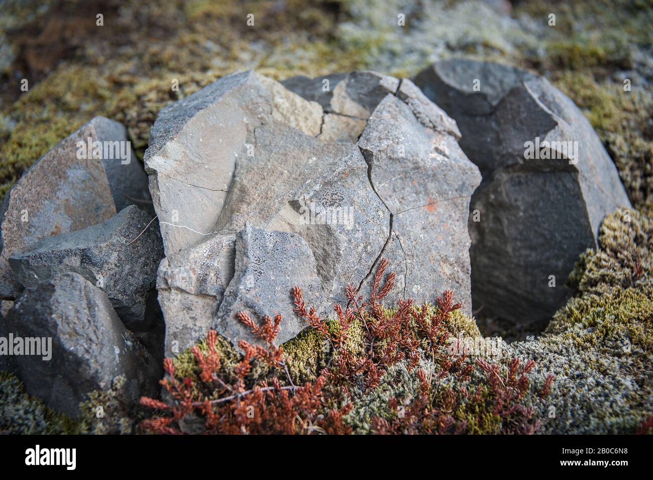 Fractured rock covered with moss and lichen along hiking trail,  in Skaftafell National Park, southeastern Iceland. Stock Photo