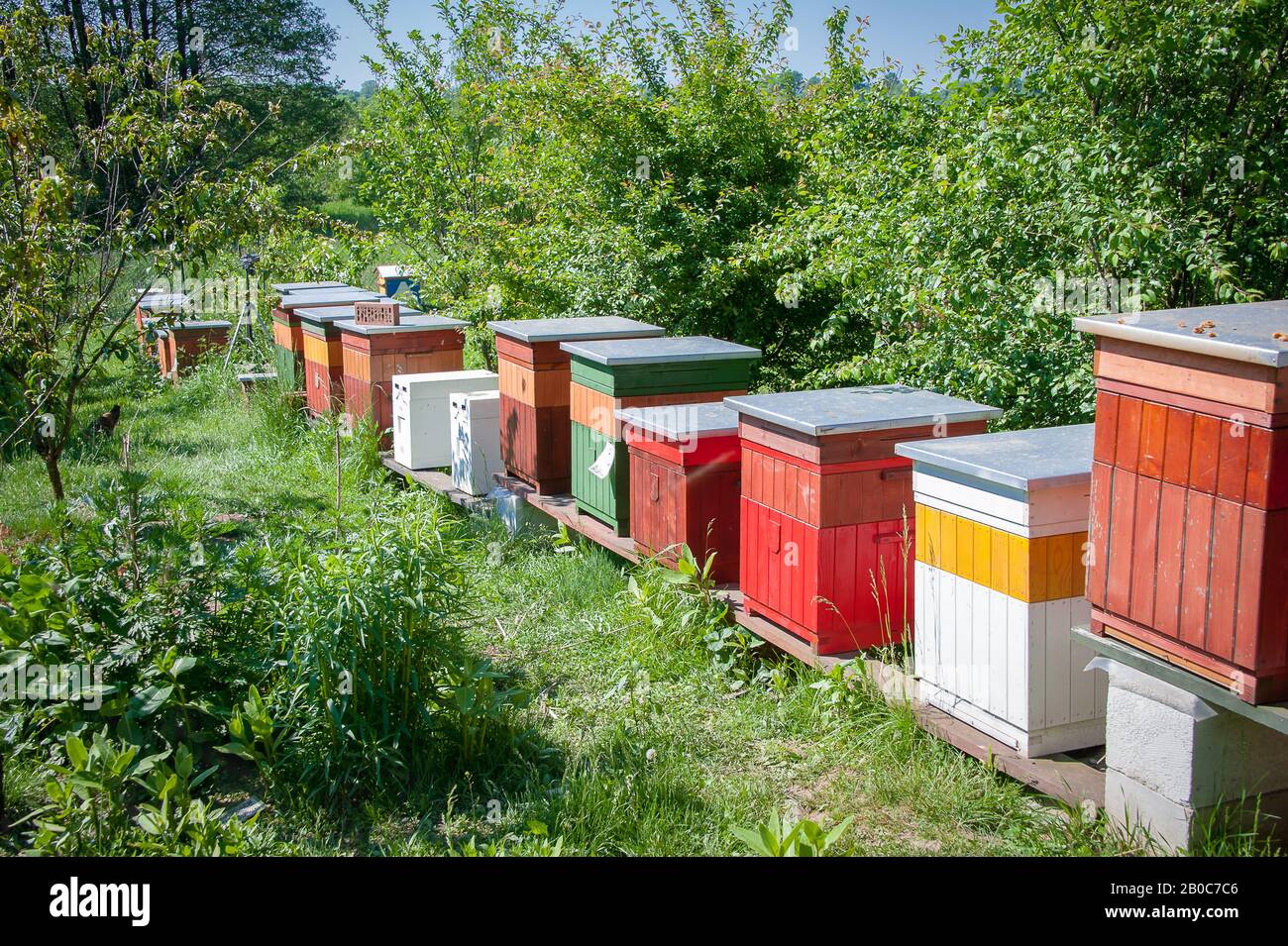 Bee Hives In Orchard High Resolution Stock Photography and Images - Alamy