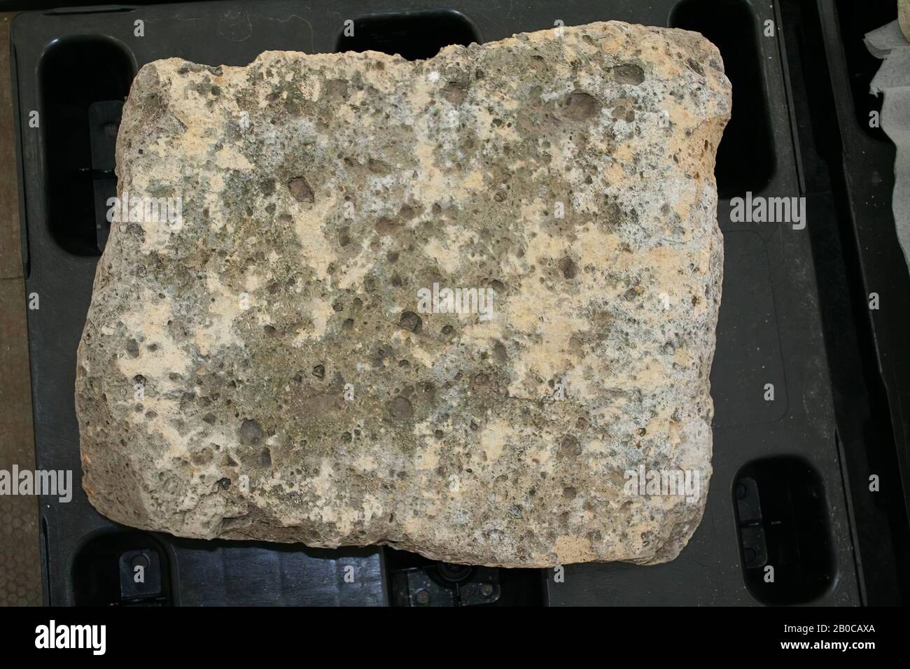 55 kg top in stones