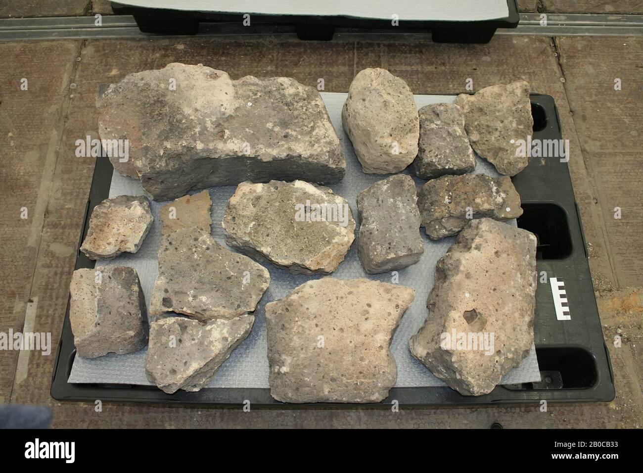 84 kgs in stones and pounds discount