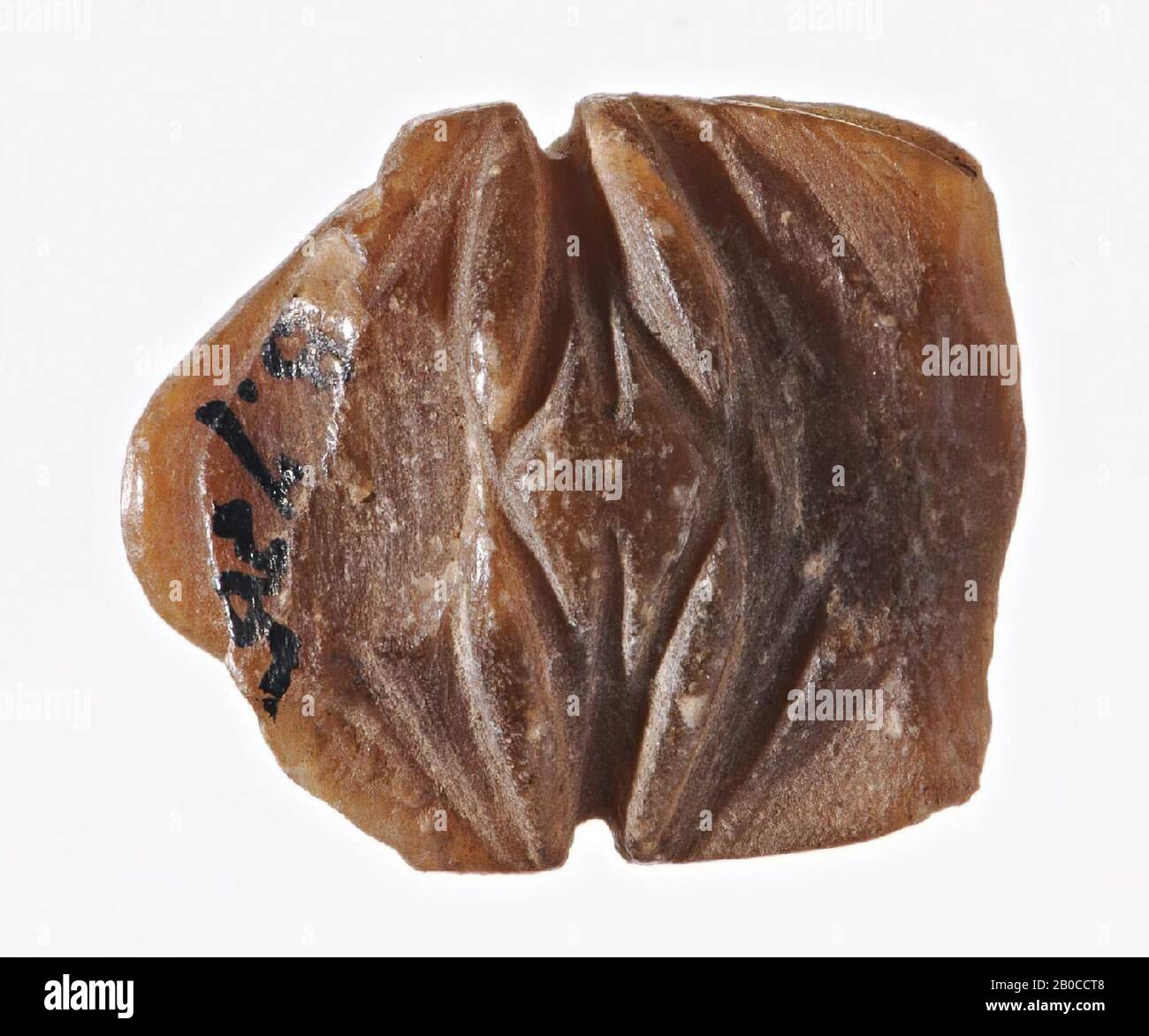 scarab, seal, scarab, stone (brown), 2.1 cm, Egypt Stock Photo
