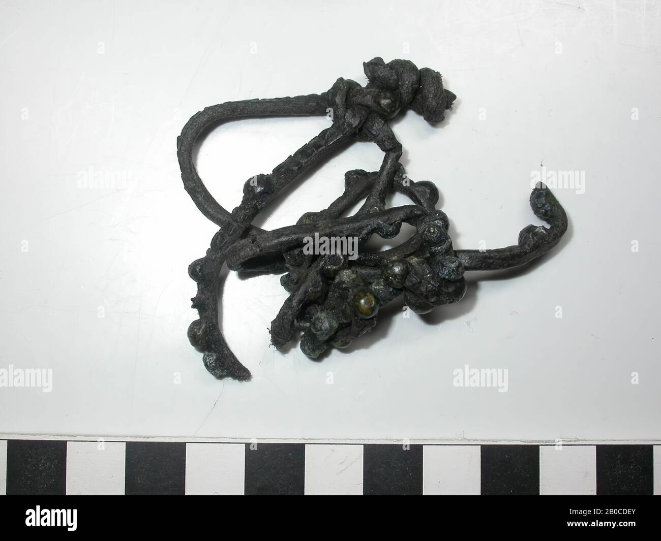 Fragments leather belt with fittings. Several pieces of leather belt that are tied together with 4 buttons, it is not clear how many fragments are involved. On the fragments are about 30 decorative nails (diameter 0.45 cm, thickness 0.3 cm) with a lead core and a cap of copper alloy, there are some missing studs with cap and there is one stud without visible cap visible. The color of the batter is dark gray to black because of the corrosion of the lead. There is no space between the caps and the fittings are as wide as the leather. Thickness with batter: 0.55 cm., Nail diameter: 0.1 cm., Belt Stock Photo
