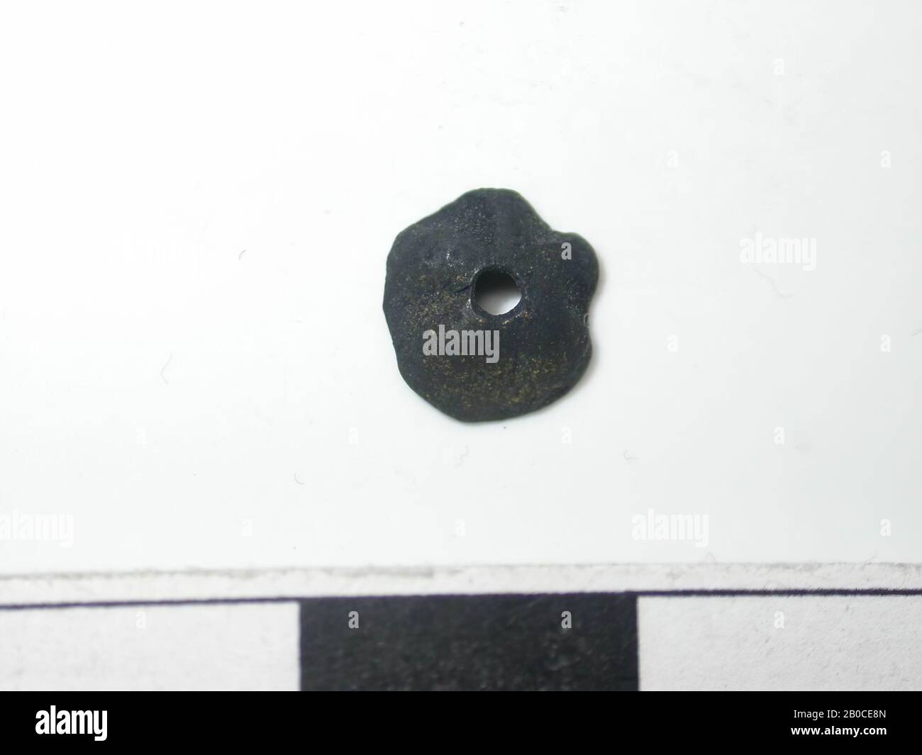 5 Lobed High Resolution Stock Photography and Images - Alamy