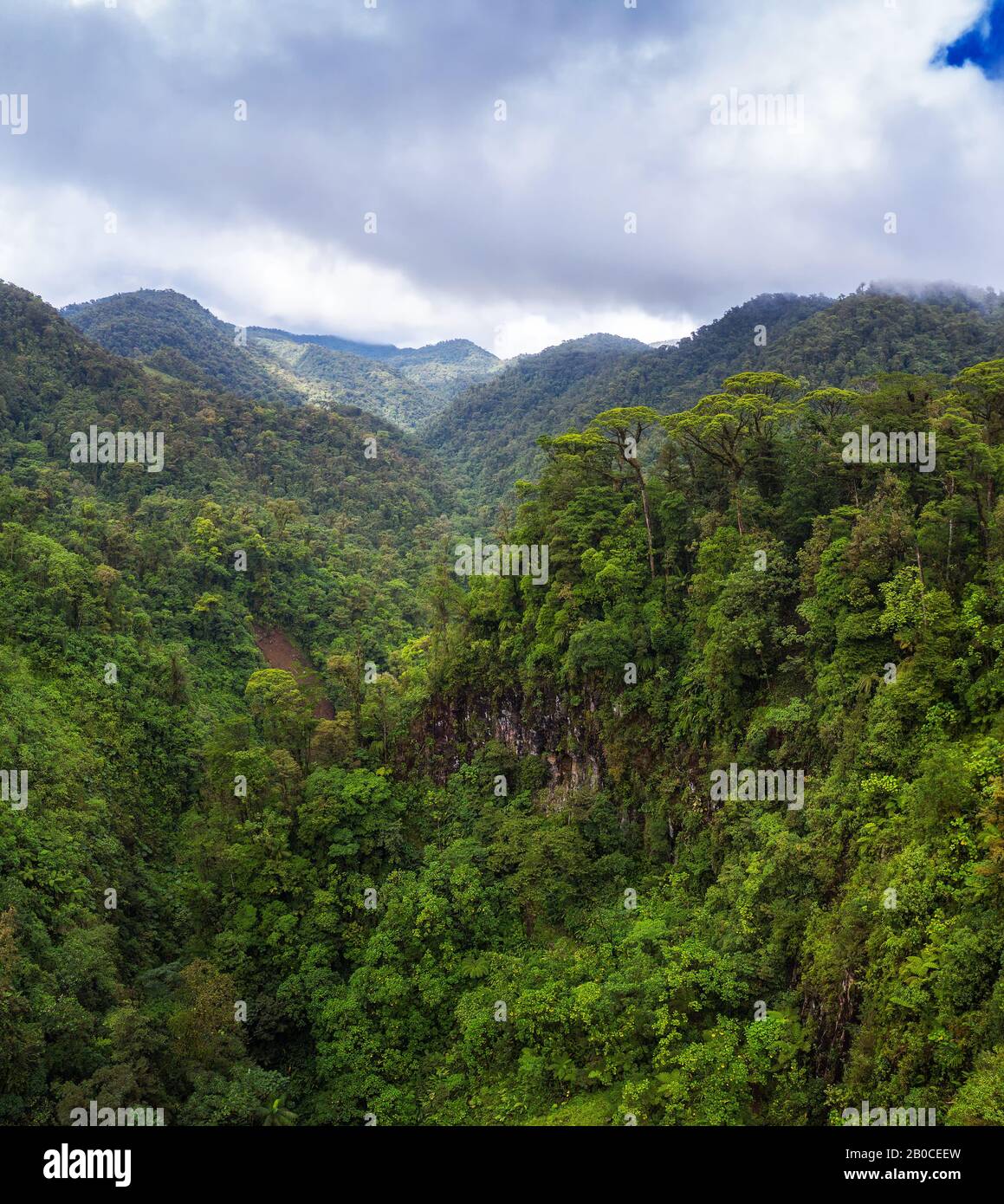 Aerial view over Juan Castro Blanco National Park in Costa Rica Stock Photo